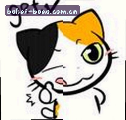 王磊